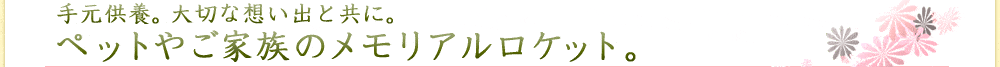 手元供養。大切な思い出と共に。ご家族やペットのメモリアルロケット。